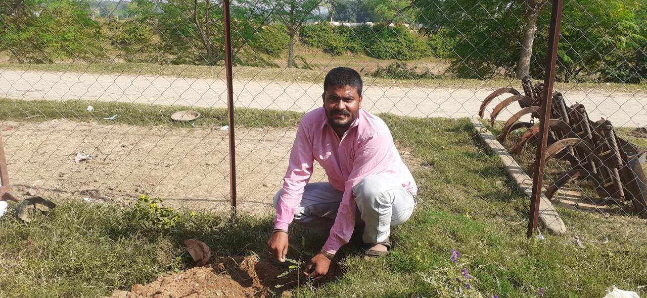 WhatsApp Image 2025-10-11 at 8.19.48 AM (3)